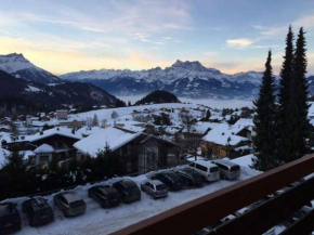 Гостиница Apartment Leysin - Swiss Alps  Лейзен